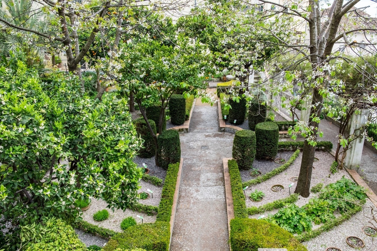 Giardino terrazzato Minerva a Salerno con piante mediterranee e schema botanico storico