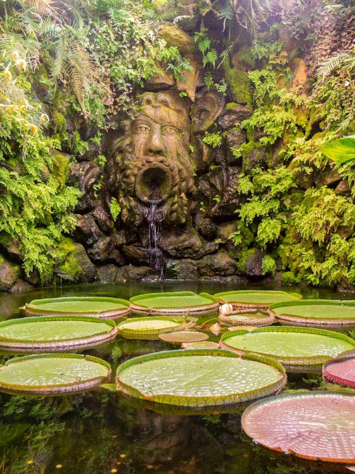 View of La Mortella Gardens in Forio d’Ischia featuring giant water lilies in a pond and a sculpted stone fountain surrounded by tropical vegetation.