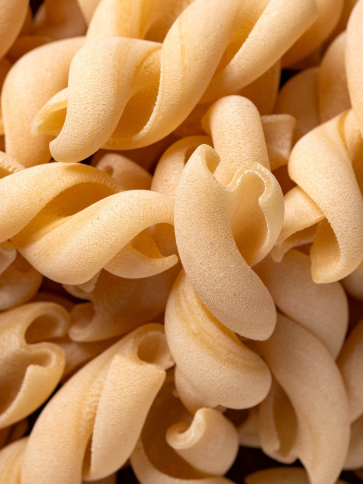 Detail of artisanal bronze-drawn pasta
