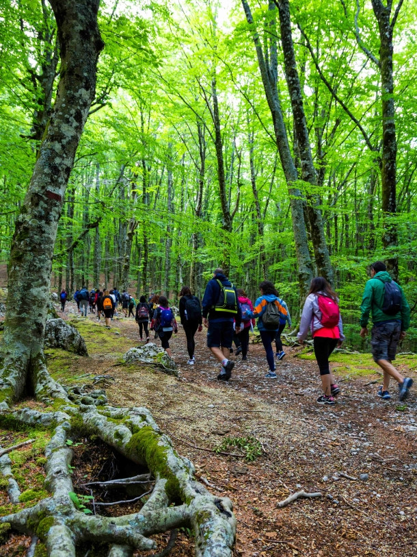 Sorrento Villa Comunale