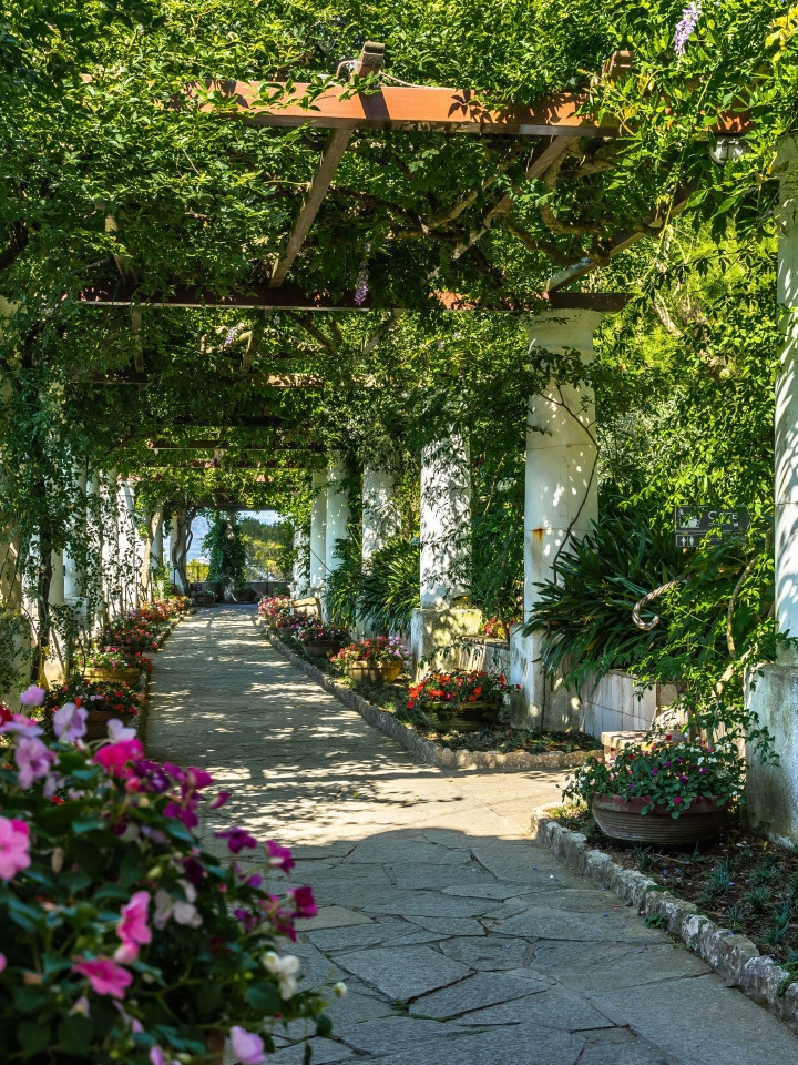 Capri Villa San Michele