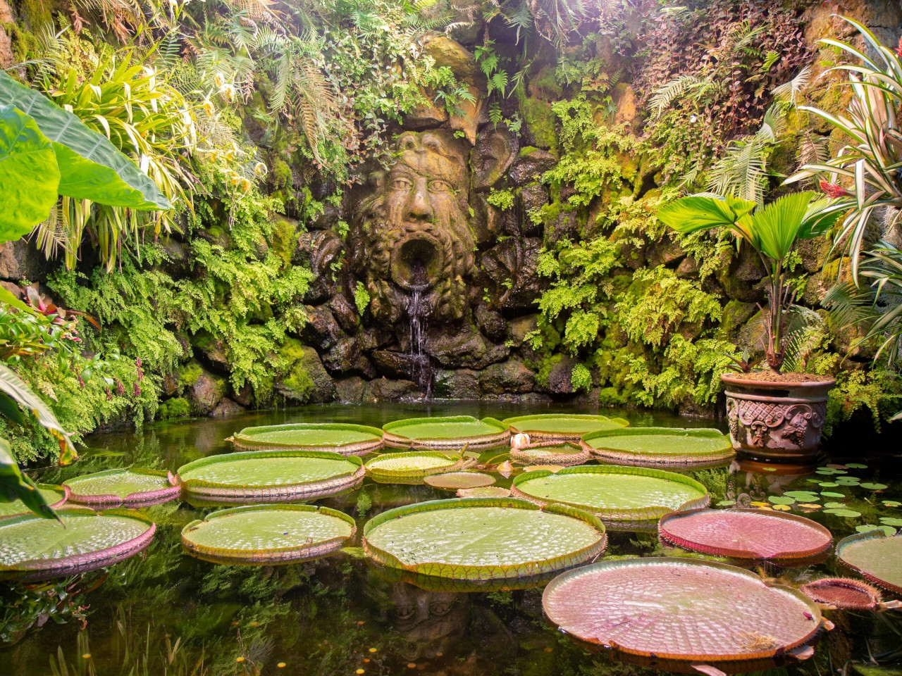 La Mortella Gardens in Ischia with tropical pond and giant water lilies